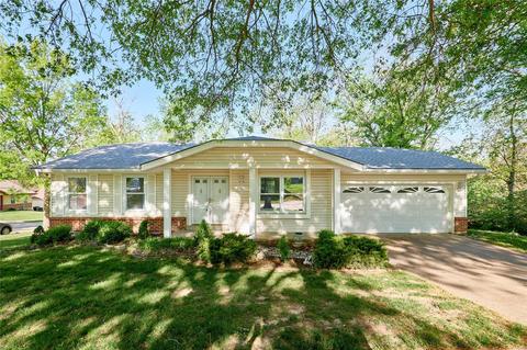 1041 Twistedoak Ct, Ballwin, MO 63021