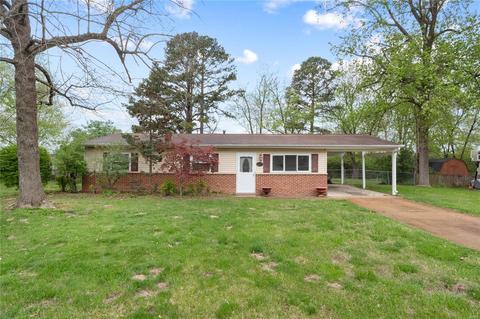 247 Ramsey Ln, Ballwin, MO 63021 photo 24