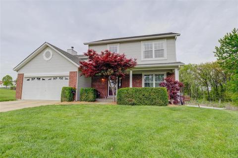 1332 Bryan Valley Dr, O'fallon, MO 63366 photo 33