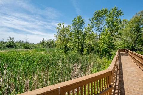 746 Thunder Hill Dr, O'fallon, MO 63368 photo 37