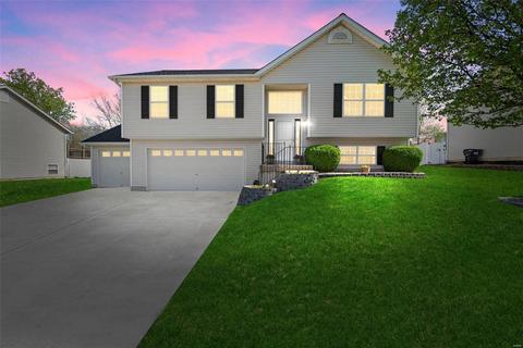214 Split Rail Dr, Wentzville, MO 63385