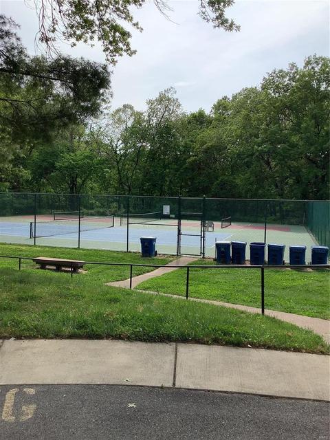 907 Imperial Pt, Manchester, MO 63021 photo 28