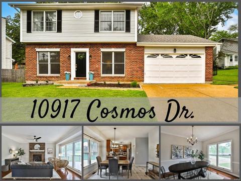 10917 Cosmos Dr, Saint Louis, MO 63123