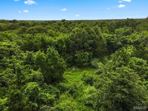 1185 Scheel Ln, Fenton, MO 63026