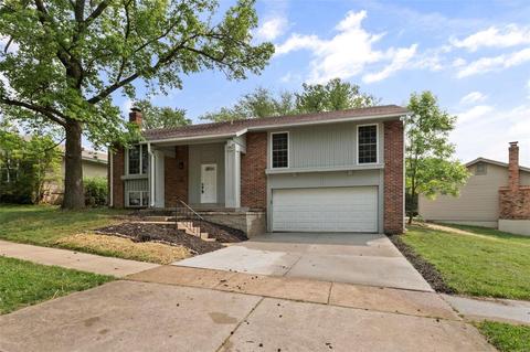 1056 Summer Tree Dr, Ballwin, MO 63011 photo 2