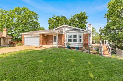 1109 Alicia Circle Ct, Ballwin, MO 63021 photo 3
