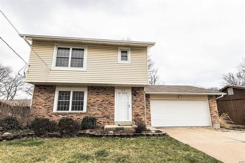 4313 Julie Ct, High Ridge, MO 63049 photo 1