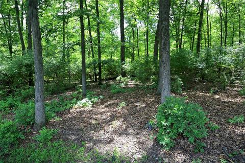738 Redstart Dr, Ellisville, MO 63021 photo 38