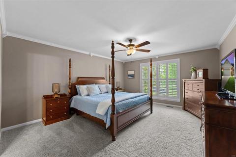 817 Hawk Run Trl, O'fallon, MO 63368 photo 20