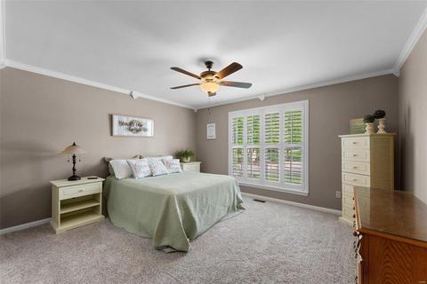 817 Hawk Run Trl, O'fallon, MO 63368 photo 17