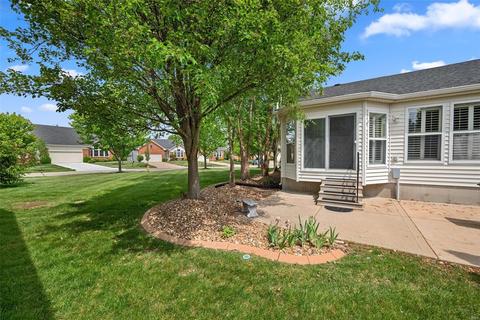 817 Hawk Run Trl, O'fallon, MO 63368 photo 30