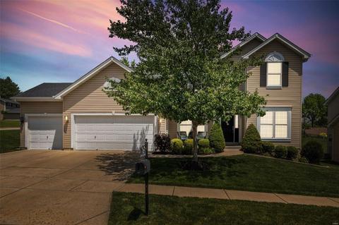 245 Magnolia Trace Dr, Ballwin, MO 63021 photo 39