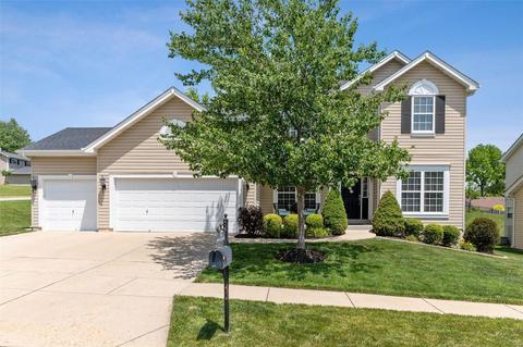 245 Magnolia Trace Dr, Ballwin, MO 63021