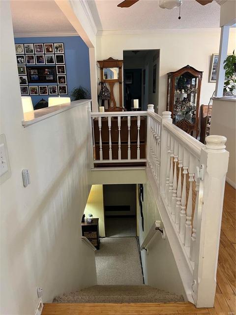 704 Inglestone Ct, Ballwin, MO 63021 photo 18