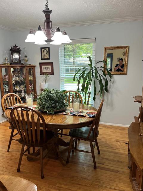 704 Inglestone Ct, Ballwin, MO 63021 photo 12