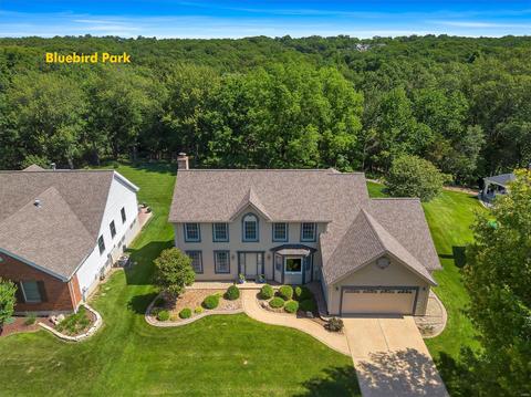 925 Oakgrove Park Ct, Ellisville, MO 63021 photo 2