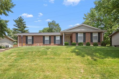 750 Sherwick Ter, Manchester, MO 63021 photo 36