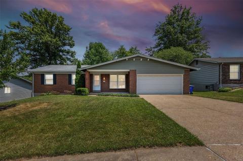 11743 Chess Dr, Bridgeton, MO 63044 photo 33