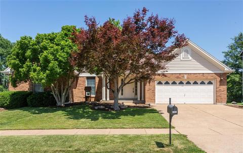 3731 Av De Paris Dr, Florissant, MO 63034
