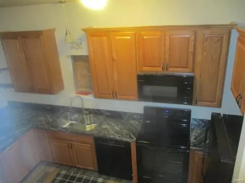 2423 Fall Ave, Saint Louis, MO 63113 photo 4