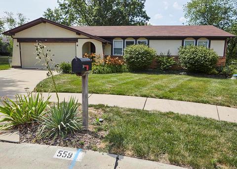559 Blossomheath, Saint Louis, MO 63125
