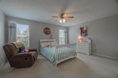 1205 Red Orchard Ct, O'fallon, MO 63368 photo 19