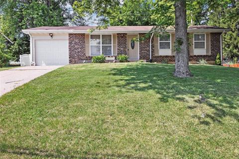 310 Old Schaeffer Ln, O'fallon, MO 63366