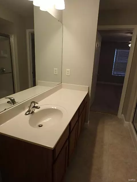 11103 Spring Creek Ln, O'fallon, MO 63368 photo 18