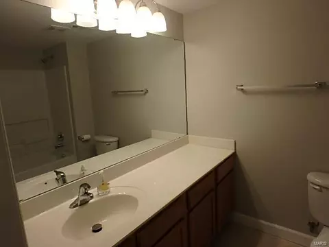 11103 Spring Creek Ln, O'fallon, MO 63368 photo 29