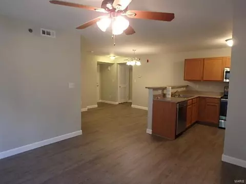 11103 Spring Creek Ln, O'fallon, MO 63368 photo 7