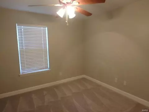 11103 Spring Creek Ln, O'fallon, MO 63368 photo 24