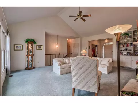 62 W Meath Ring, Weldon Spring, MO 63304 photo 24