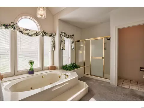 62 W Meath Ring, Weldon Spring, MO 63304 photo 30
