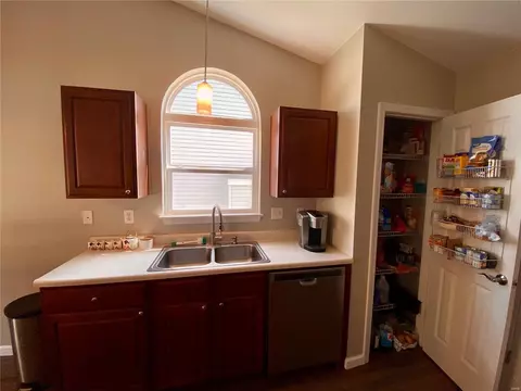 219 Spring Borough Dr, O'fallon, MO 63368 photo 15