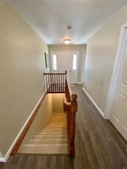 219 Spring Borough Dr, O'fallon, MO 63368 photo 22