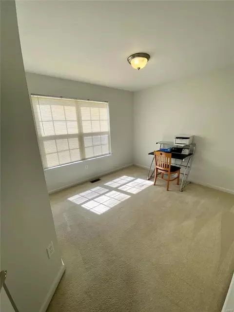 219 Spring Borough Dr, O'fallon, MO 63368 photo 23