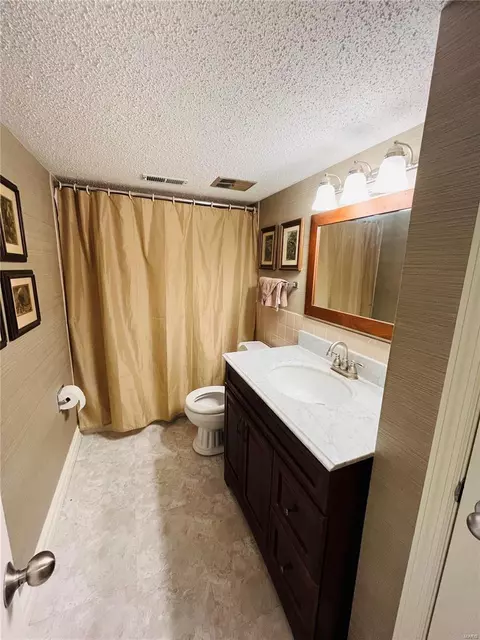 1309 Culpepper Ridge Dr, Ballwin, MO 63021 photo 44