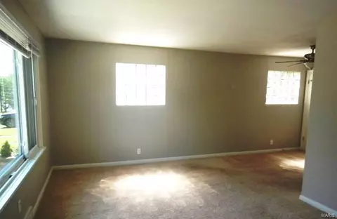 332 Eldridge Ave, Saint Louis, MO 63119 photo 6