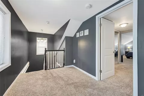 3836 Eiler St, Saint Louis, MO 63116 photo 17