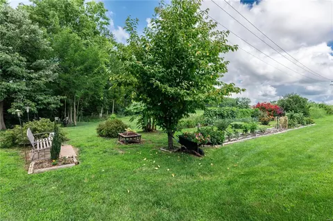 206 Spring Borough, O'fallon, MO 63368 photo 28