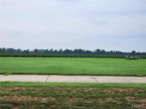 807 Bollweevil Blvd, Sikeston, MO 63801