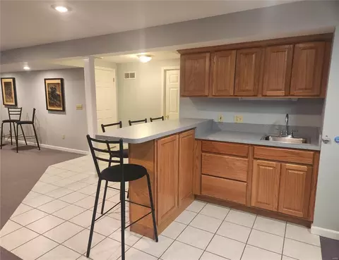 805 Henry Manor Ct, Manchester, MO 63011 photo 20