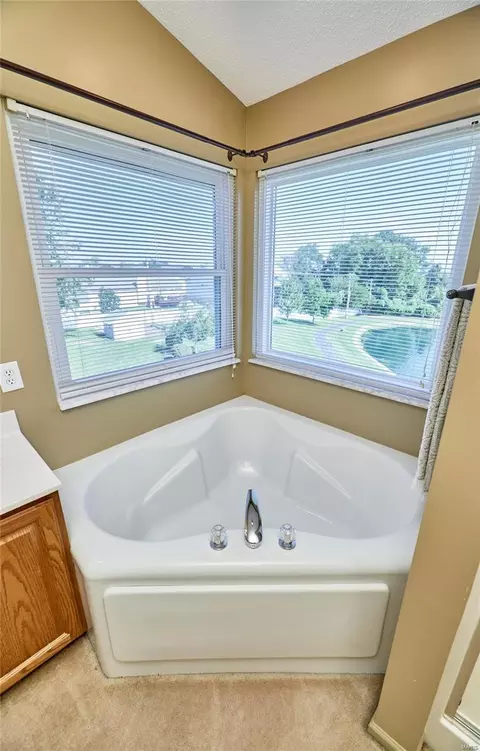 6 Highgrove Place Ct, O'fallon, MO 63366 photo 33