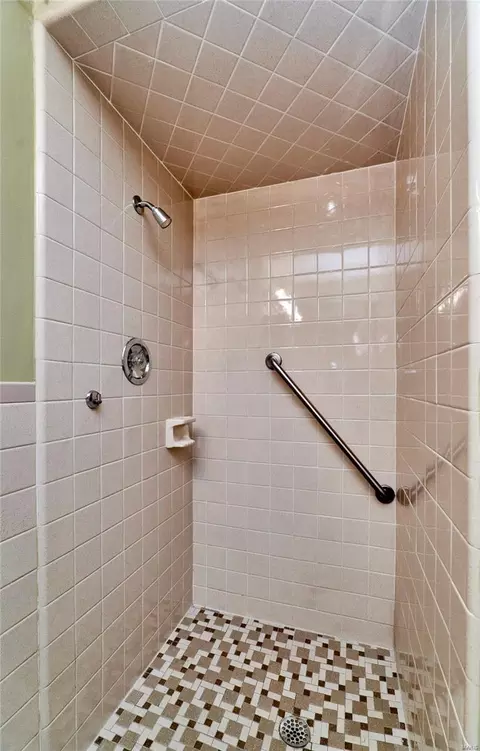 335 Carmel Woods Dr, Ellisville, MO 63021 photo 71