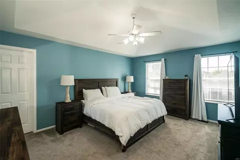7309 Nelsons Mill Dr, O'fallon, MO 63368 photo 38