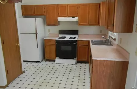 41 Devondale Pl, Saint Peters, MO 63376 photo 3