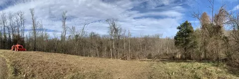 2 Wildwood Point Ct, Wildwood, MO 63005