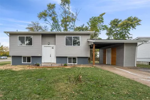 1401 Werremeyer Pl, Saint Louis, MO 63132