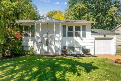 5311 Ville Angela Ln, Hazelwood, MO 63042