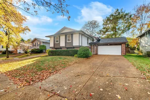 1013 Coatbridge Ct, Manchester, MO 63021 photo 2